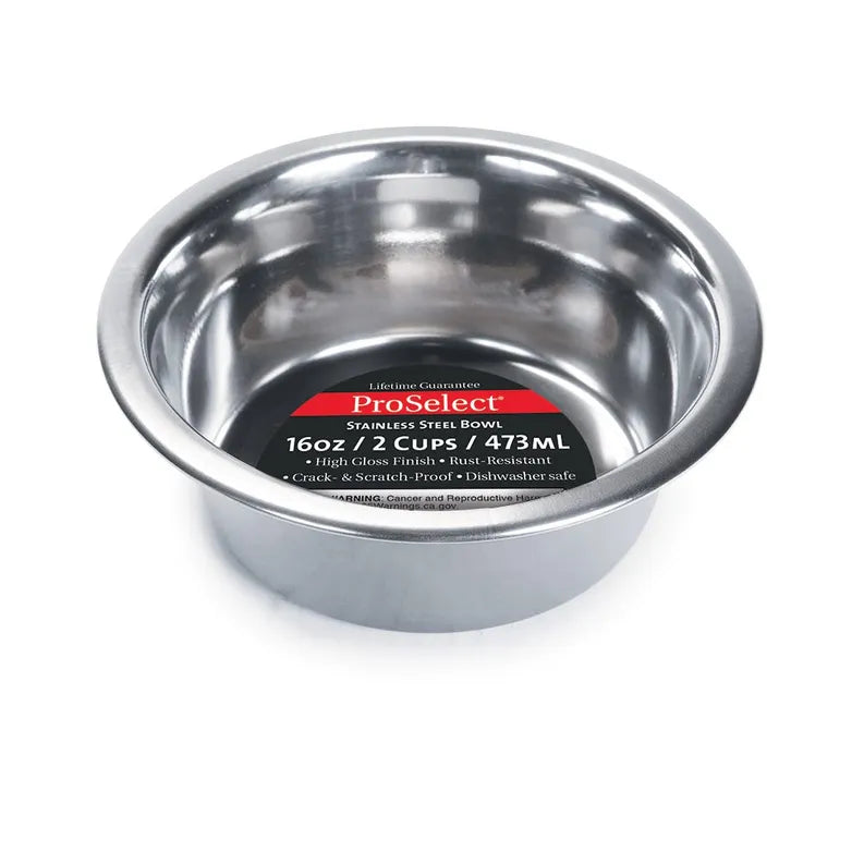 PS Heavy SS Dish Mirror Finish 16oz - Your Pet Connection