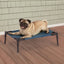 Guardian Gear Pet Cot Blue S - Your Pet Connection