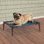 Guardian Gear Pet Cot Blue S - Your Pet Connection