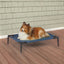 Guardian Gear Pet Cot Blue M - Your Pet Connection