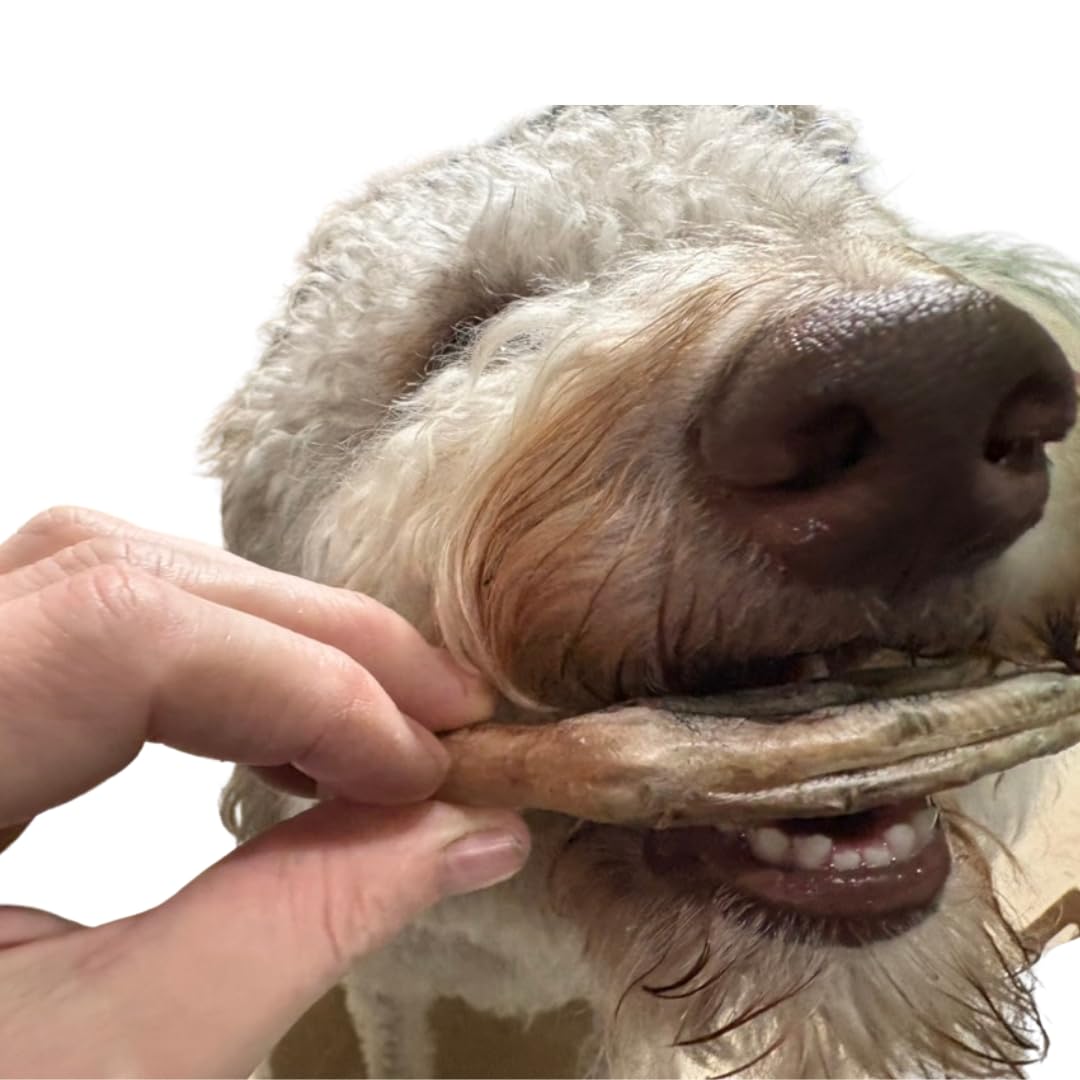 Freeze-Dried Duck Feet for Dogs, Natural Joint Support, 10 Count - Premium Quality Made in USA - Your Pet Connection