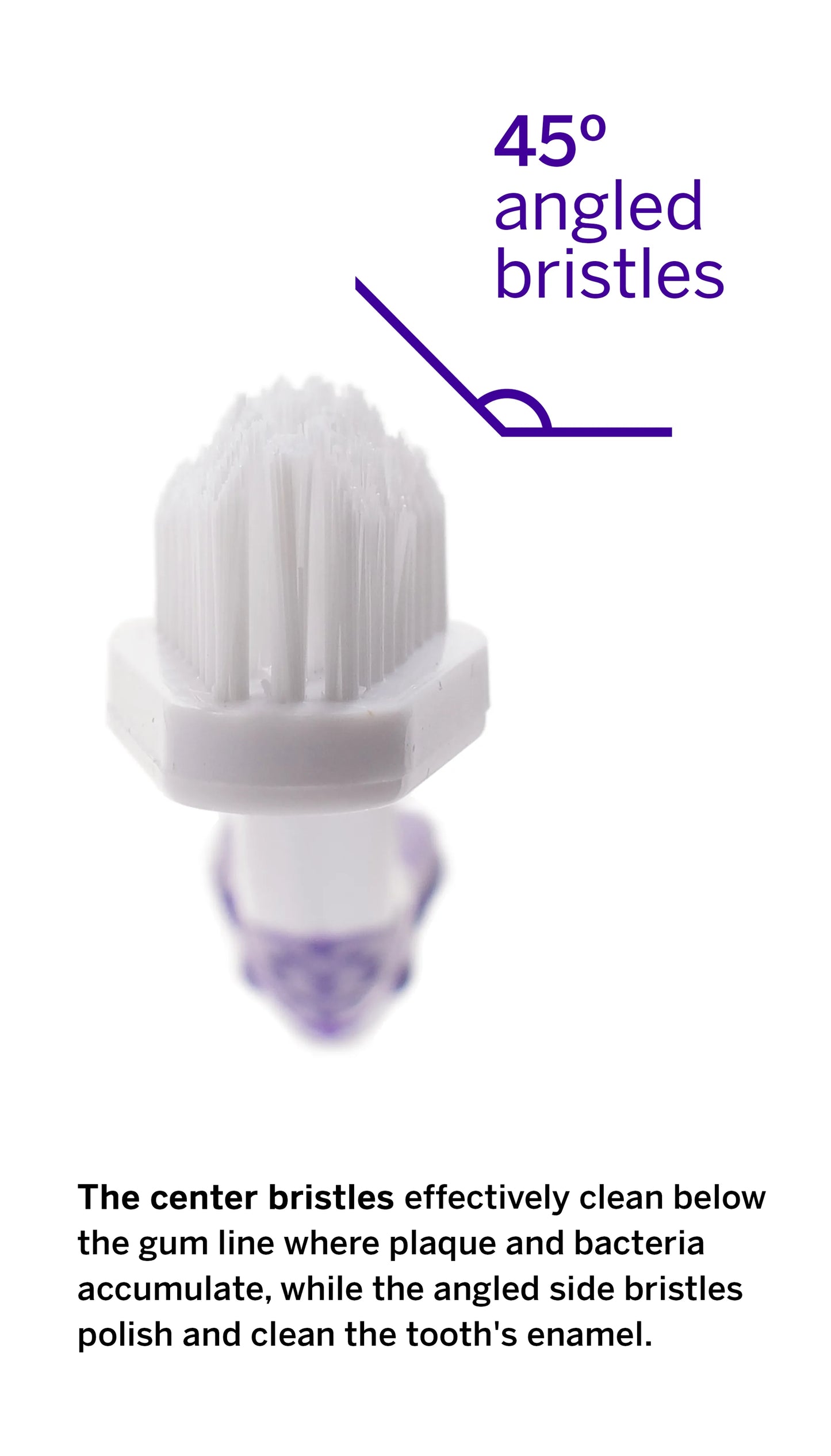 Professional Pet Toothbrush - Patented 45 Degree Dual-Ended Brush Head - Your Pet Connection