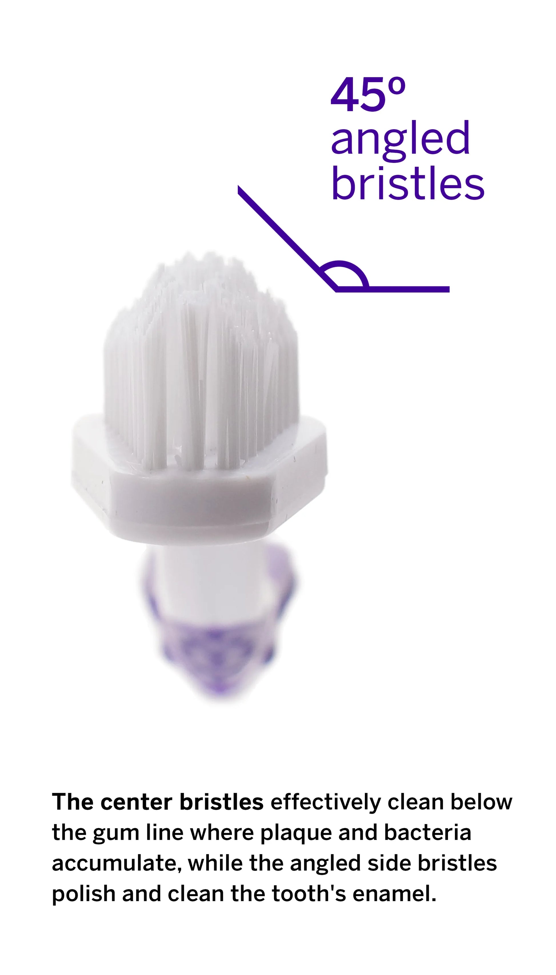 Professional Pet Toothbrush - Patented 45 Degree Dual-Ended Brush Head - Your Pet Connection