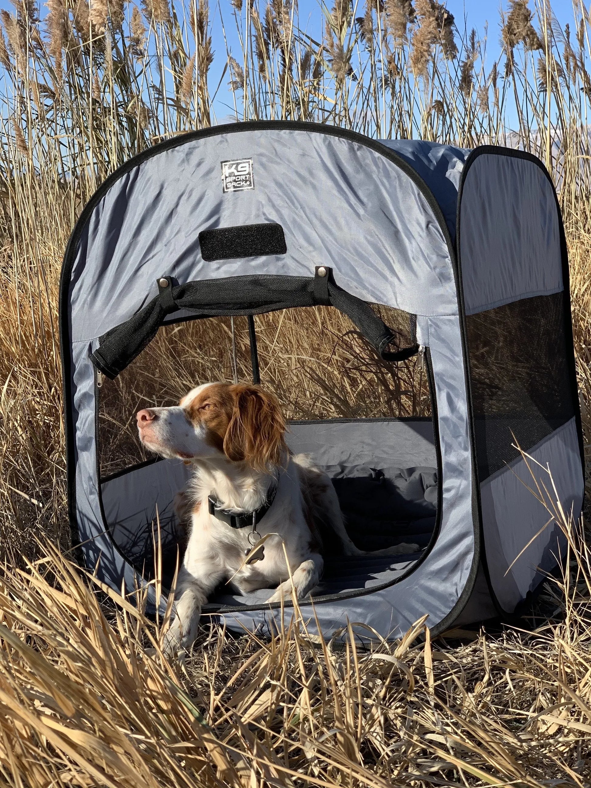 K9 Kennel Pop-Up Dog Tent - Your Pet Connection