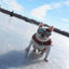 K9 Sport Shades - Dog Goggles - Your Pet Connection
