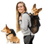 Walk-On with Harness & Storage - Your Pet Connection