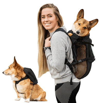 Walk-On with Harness & Storage - Your Pet Connection