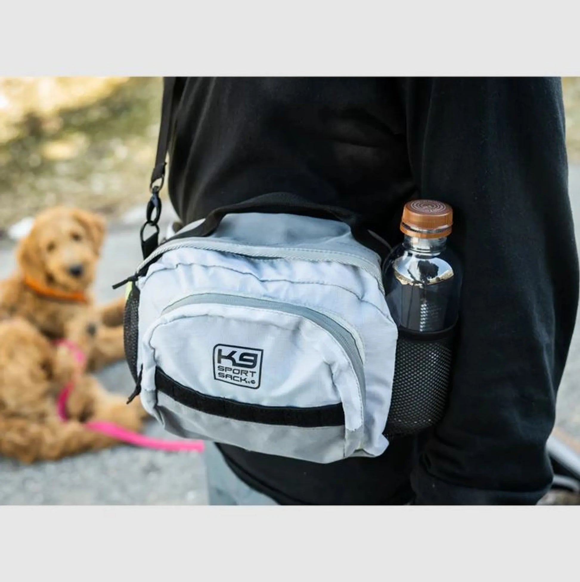 K9 Kompanion - Your Pet Connection