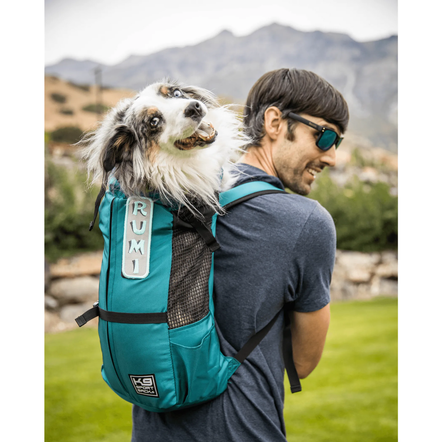 K9 Sport Sack Trainer - Your Pet Connection