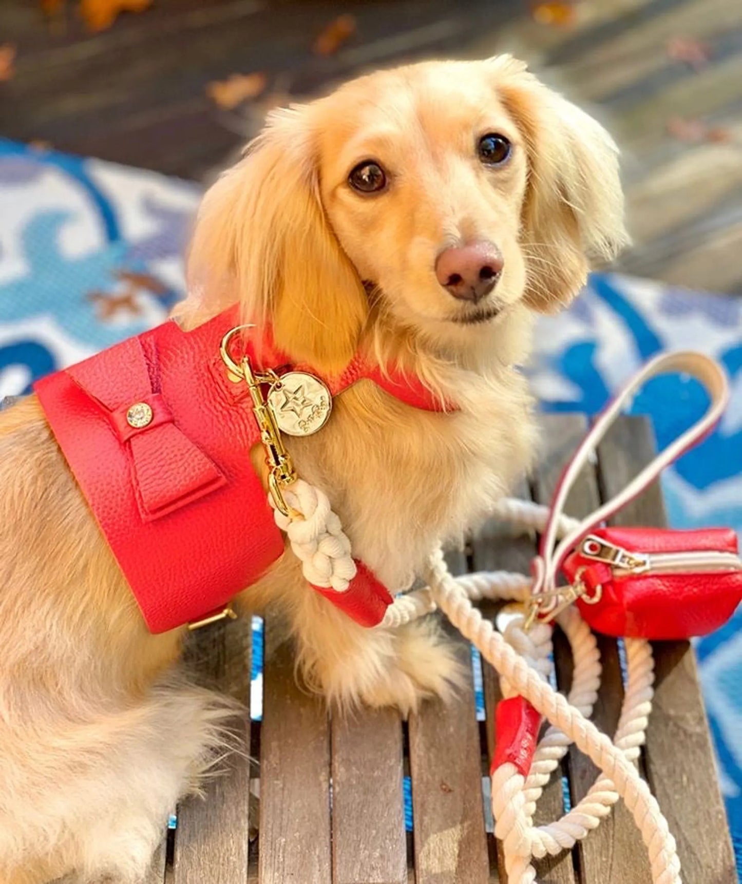 Dog Harness - Your Pet Connection