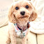 Dog Bow Tie - Your Pet Connection