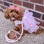 Dog Leash - Your Pet Connection