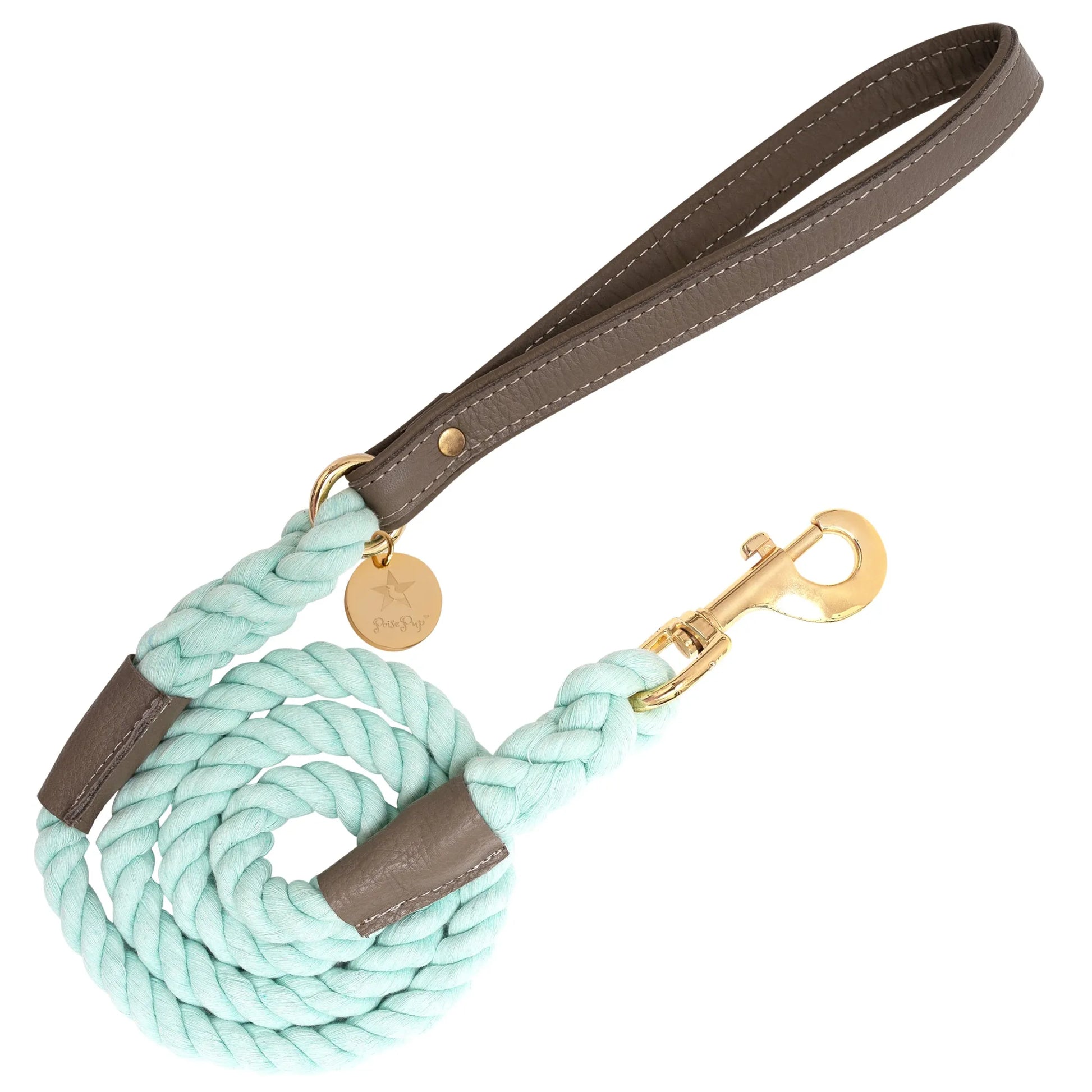 Dog Leash - Your Pet Connection