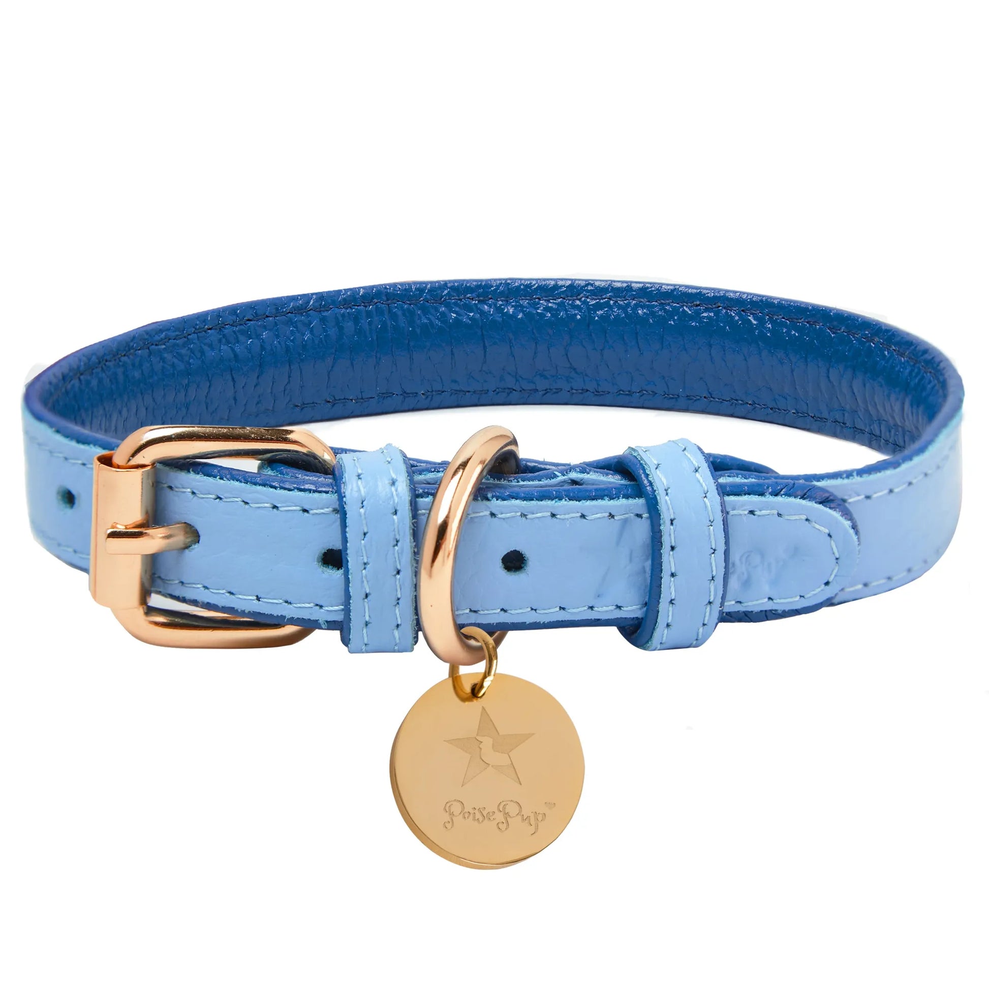 Dog Collar - Your Pet Connection