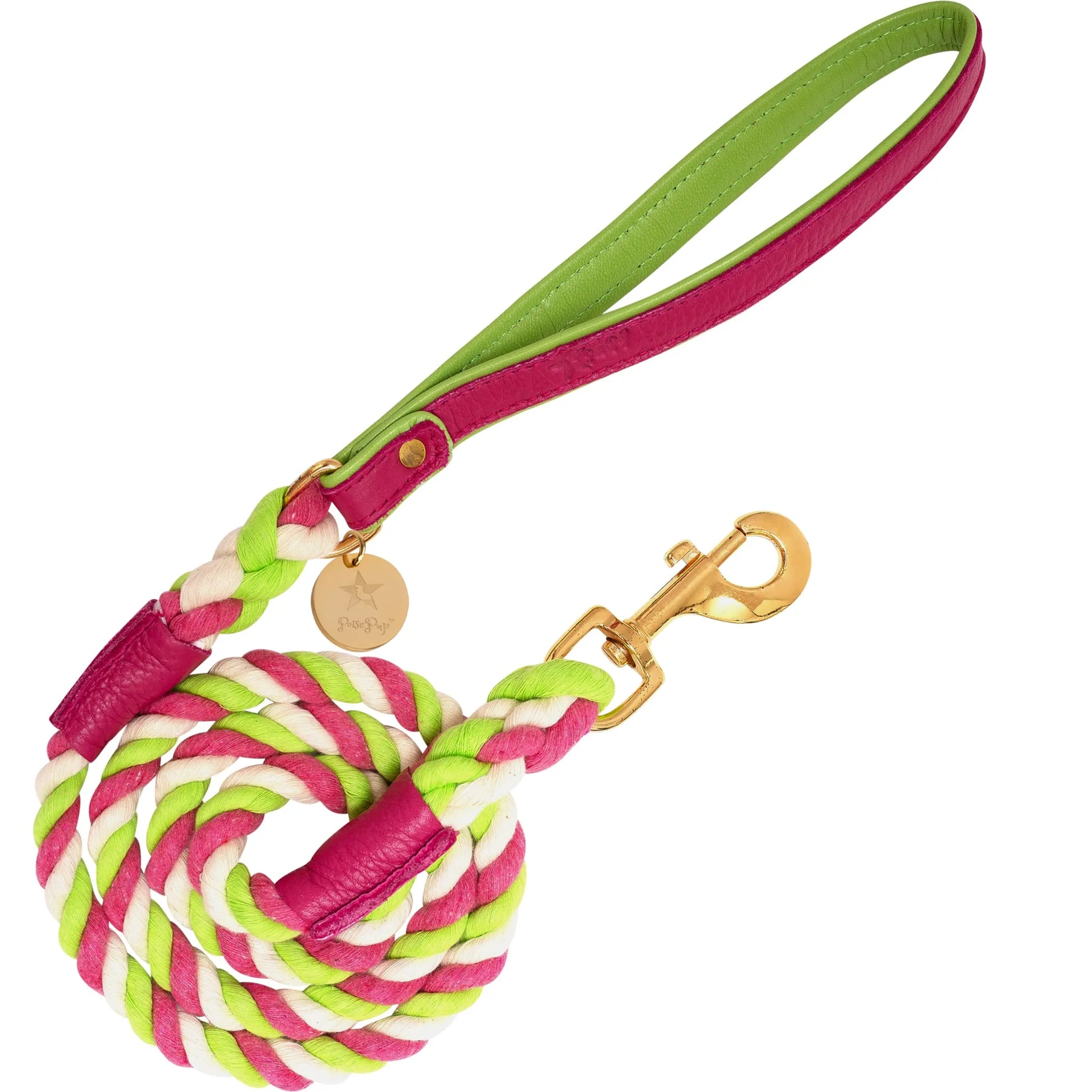 Dog Leash - Your Pet Connection