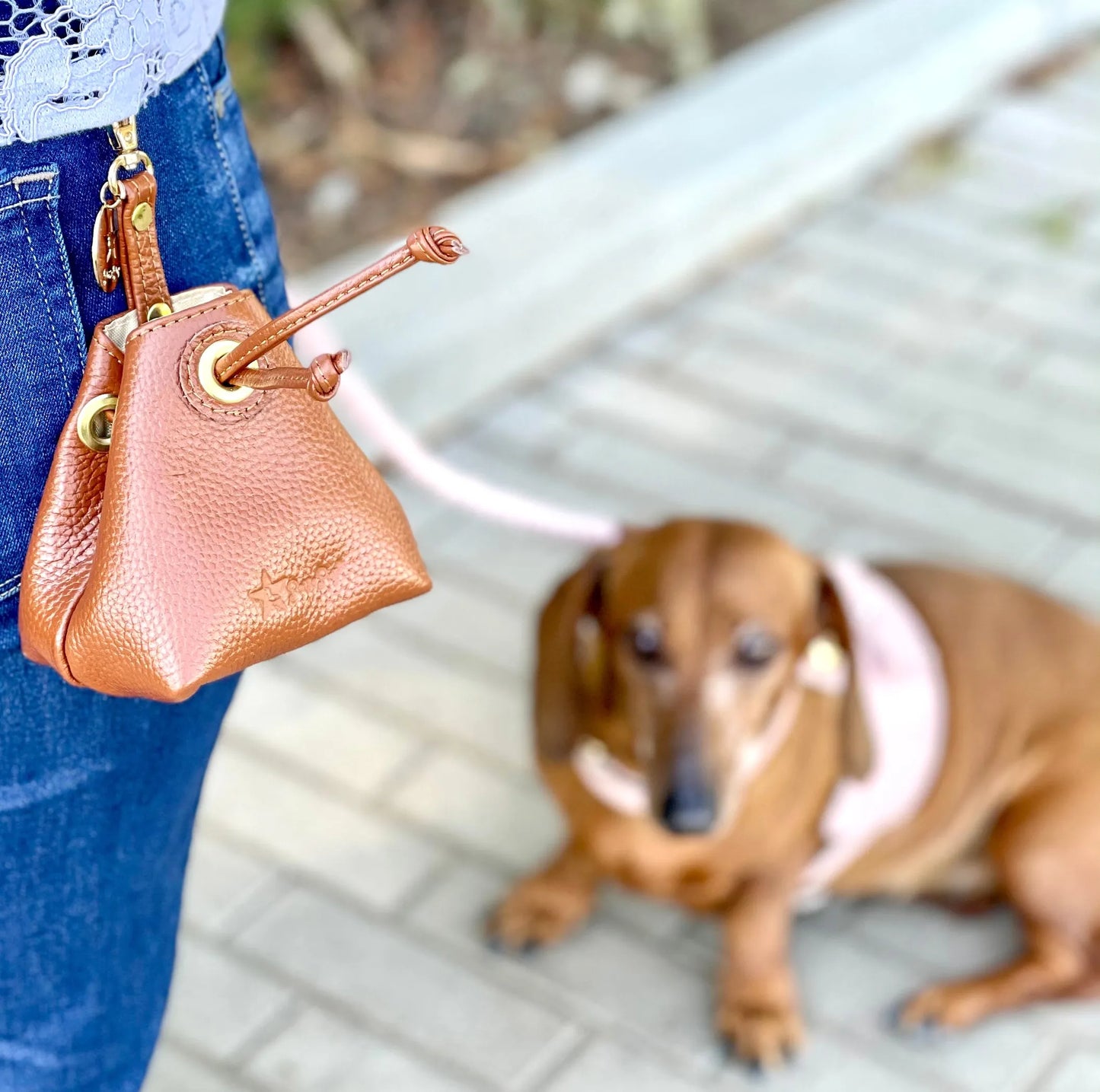 Treat Bag - Your Pet Connection