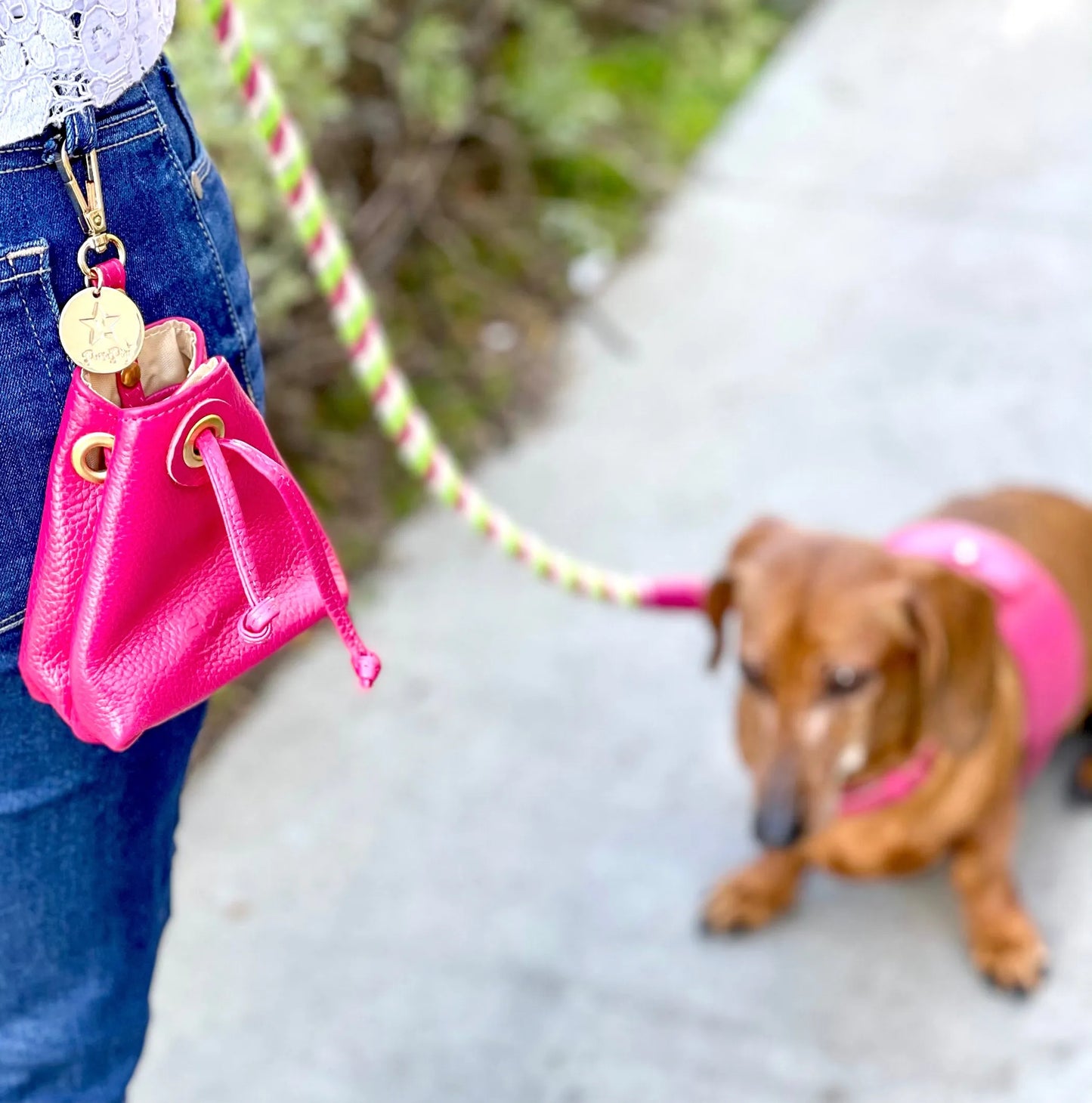 Treat Bag - Your Pet Connection
