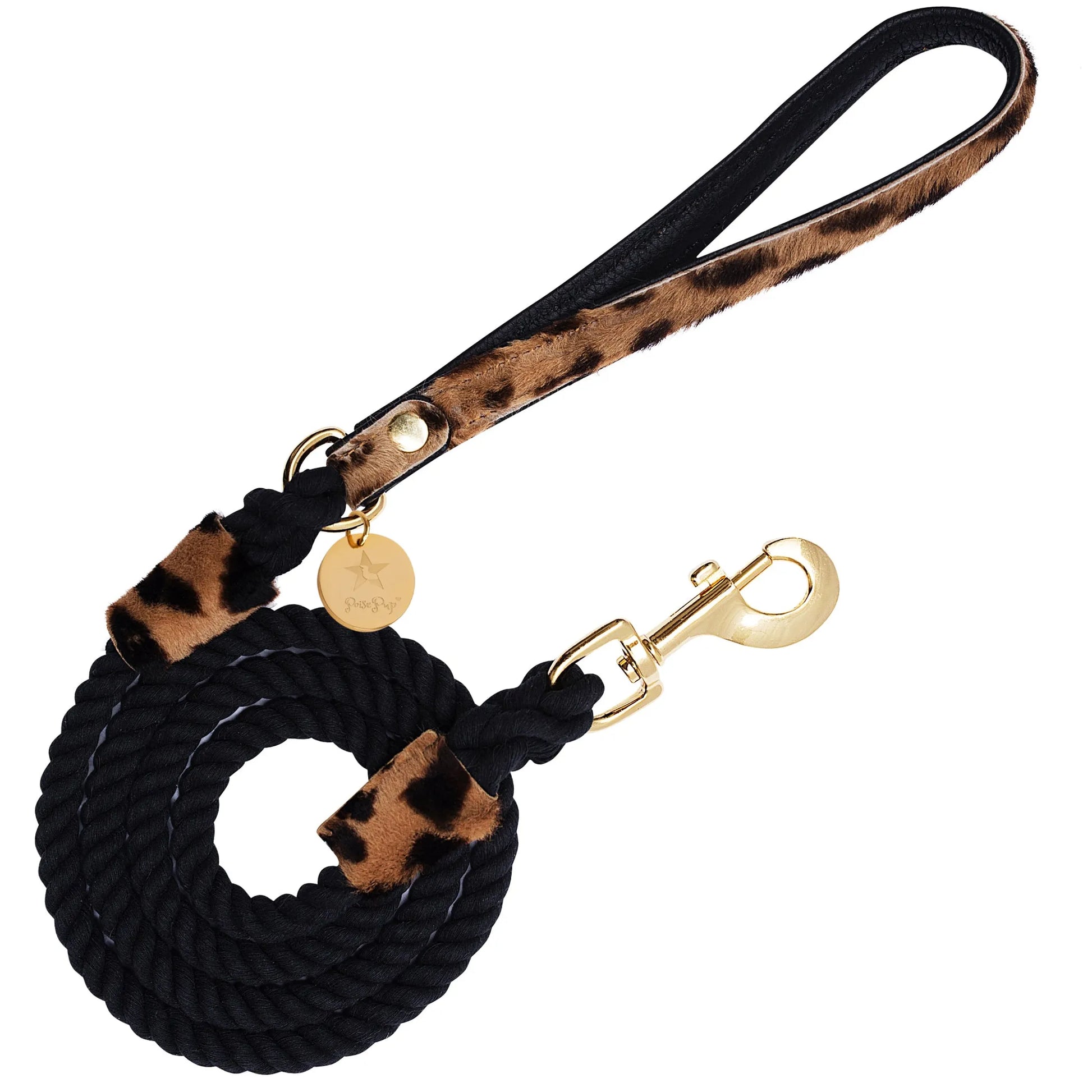 Dog Leash - Your Pet Connection