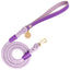 Dog Leash - Your Pet Connection