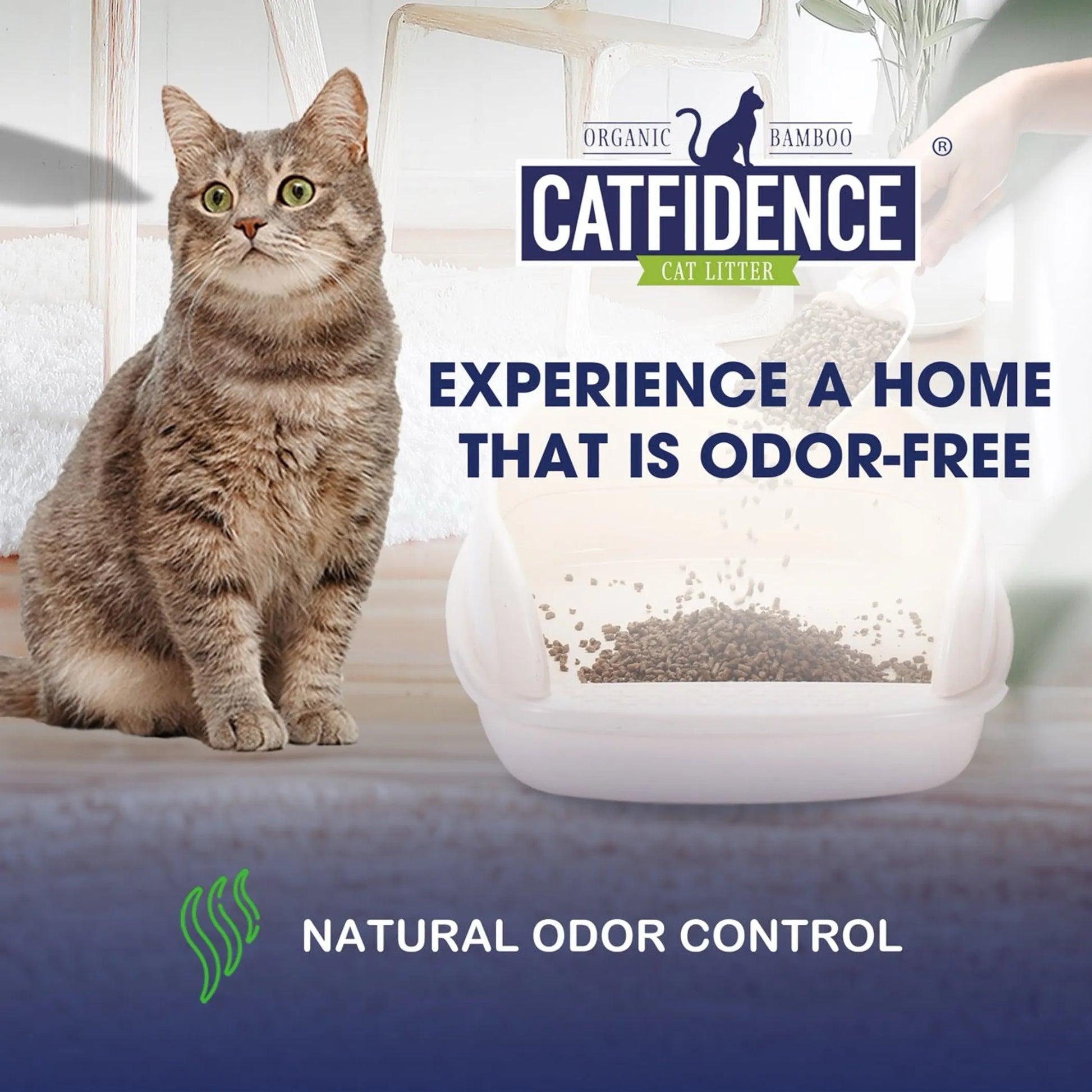 Catfidence Bamboo Cat Litter - Your Pet Connection