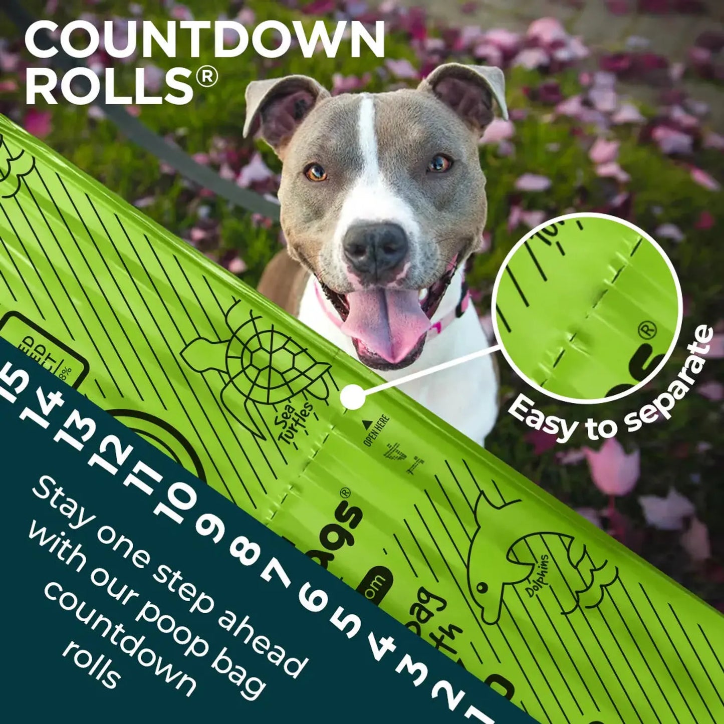 The Original Poop Bags(R) 120 USDA Biobased Countdown Rolls(R) - Your Pet Connection