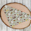 Over-The-Collar Dog Bandana - Your Pet Connection