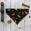 Over-The-Collar Dog Bandana - Your Pet Connection