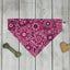 Over-The-Collar Dog Bandana - Your Pet Connection