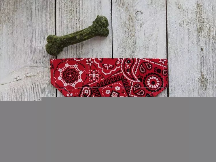 Over-The-Collar Dog Bandana - Your Pet Connection