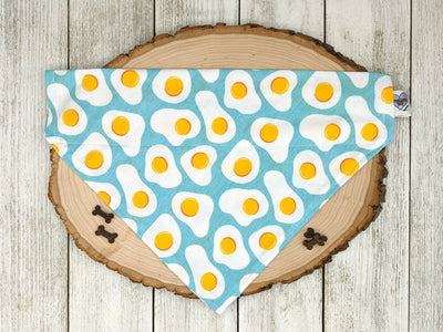Sunny Side Up Eggs - No Tie Dog Collar Bandana - Your Pet Connection