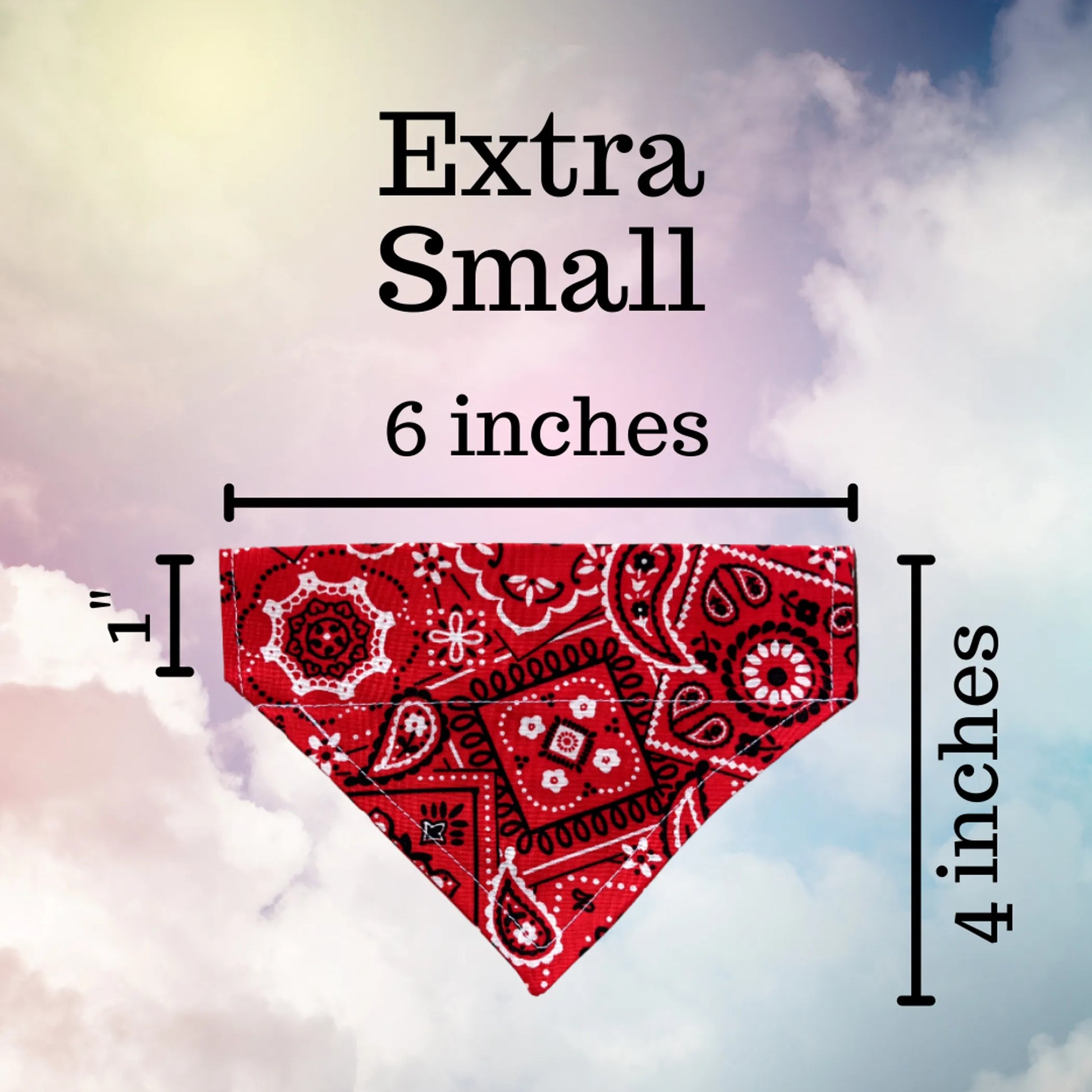 Sunny Side Up Eggs - No Tie Dog Collar Bandana - Your Pet Connection