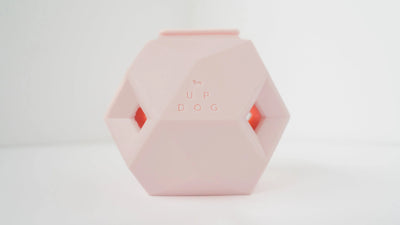 The Odin - Modern Treat Dispensing Dog Puzzle - Your Pet Connection
