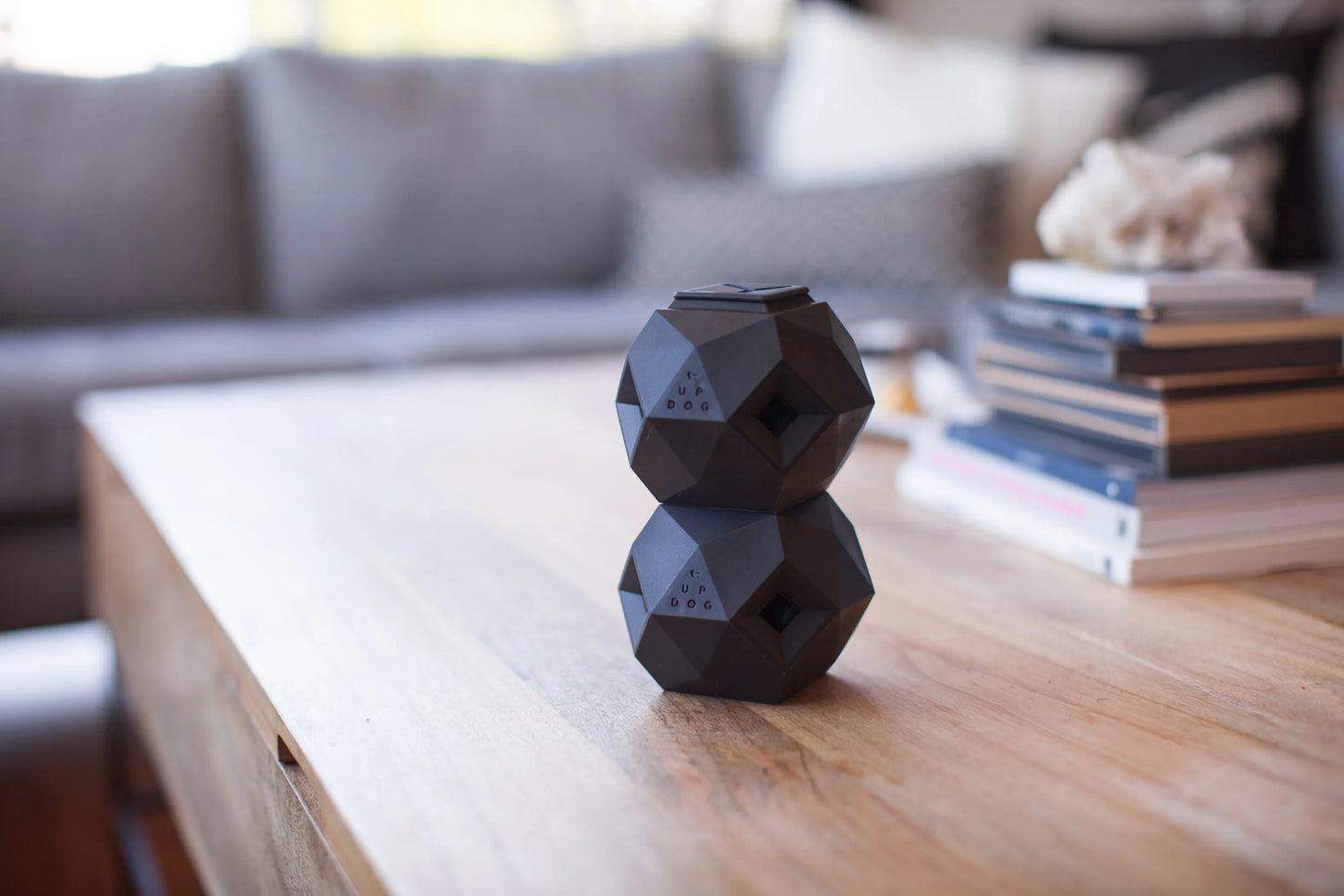The Odin - Modern Treat Dispensing Dog Puzzle - Your Pet Connection