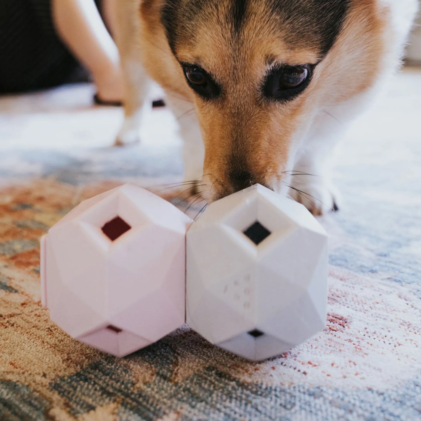 The Odin - Modern Treat Dispensing Dog Puzzle - Your Pet Connection