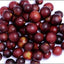 Bionic Body - Antioxidant Bone, Eye, Teeth, Skin & Immune Support* - Your Pet Connection