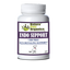 Organic Pet Systems ENDO SUPPORT Capsules