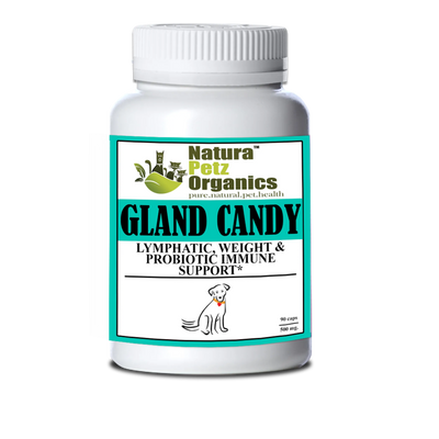 Gland Candy Omega 3 & 6 Lymphatic, Weight & Probiotic Immune Support * - Your Pet Connection