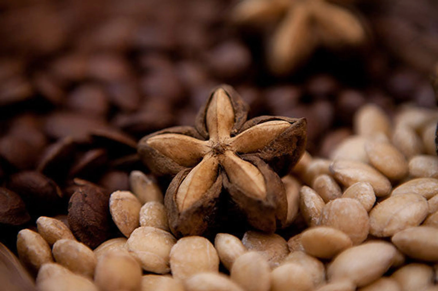 Organic Pet Systems USDA Organic Meal Topper 4 oz