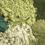 Daily Greens Glow Multi-Vitamin & Multi-Mineral Support* Flavored Meal Topper For Dogs And Cats* - Your Pet Connection