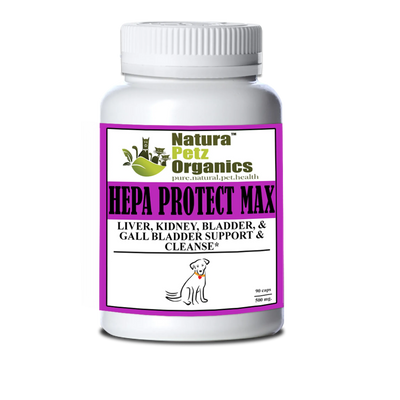 Hepa Protect Max Capsules - Liver, Kidney, Bladder & Gall Bladder Support & Cleanse* - Your Pet Connection