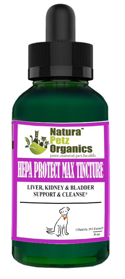 Hepa Protect Max Tincture* Master Blend Liver Kidney & Bladder Support & Cleanse 10:1 Extract* - Your Pet Connection