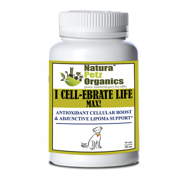 I Cellebrate Life Max - Antioxidant Cellular Boost + Adjunctive Lipoma Support* - Your Pet Connection