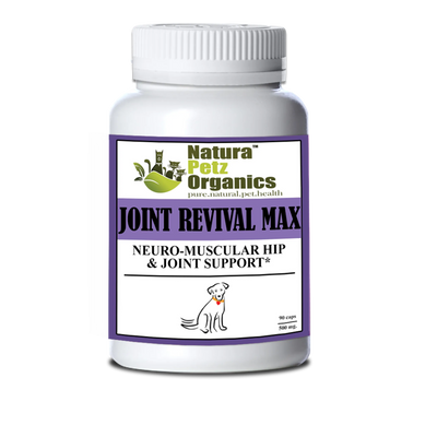 Joint Revival Max Master Blend Capsules* Neuro Muscular Hip & Joint Support* Master Blend For Dogs & Cats* - Your Pet Connection