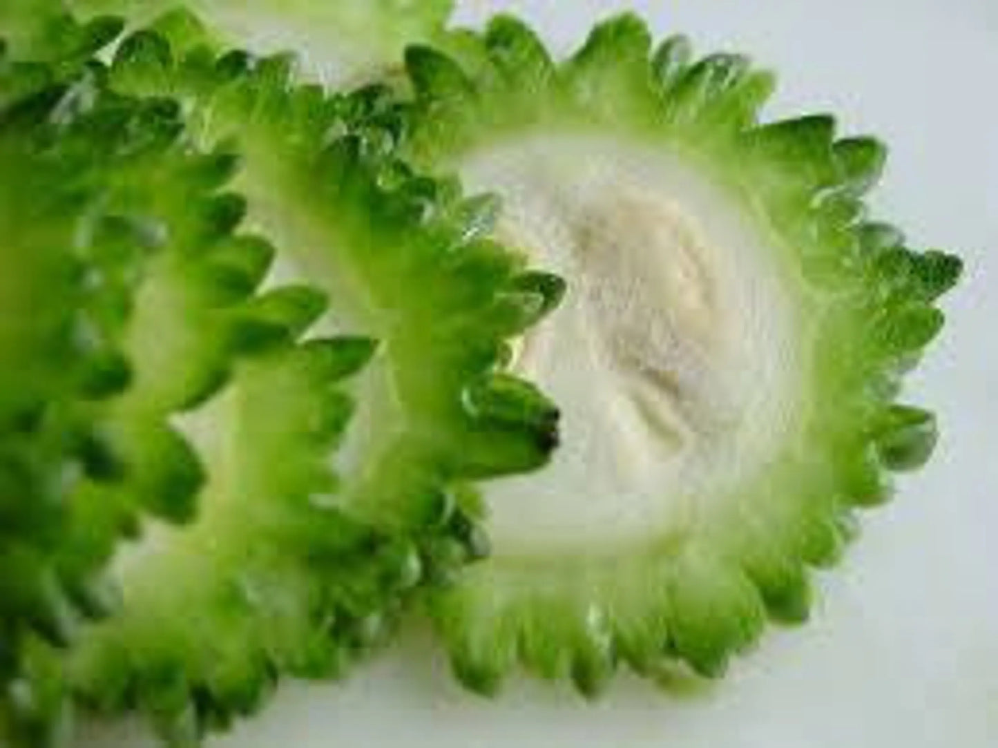 Organic Pet Systems Meal Topper 4oz