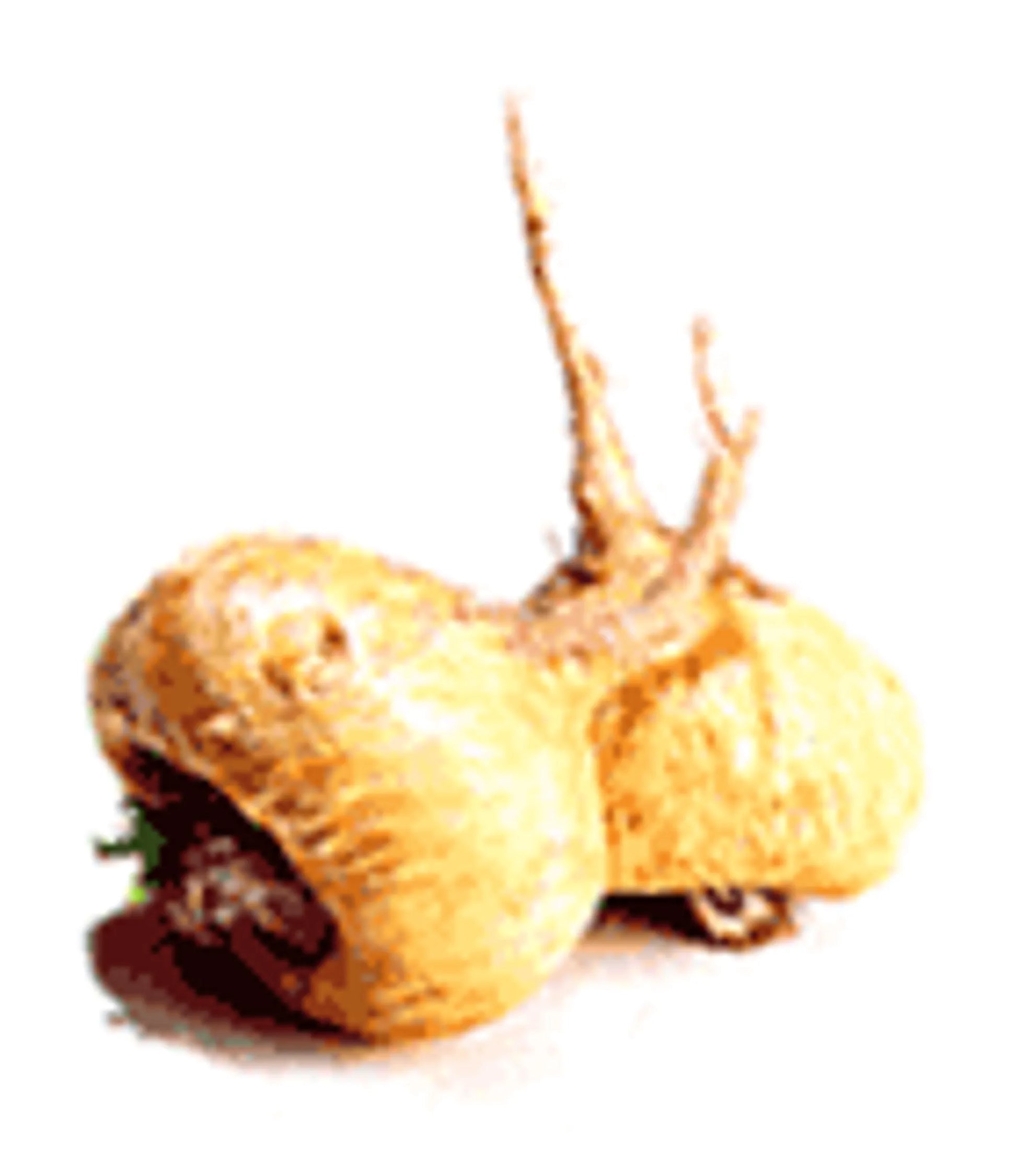 I Am A Rock Star - Memory, Gland (Hypothalamic, Pituitary And Adrenal) & Vitality Support* - Your Pet Connection