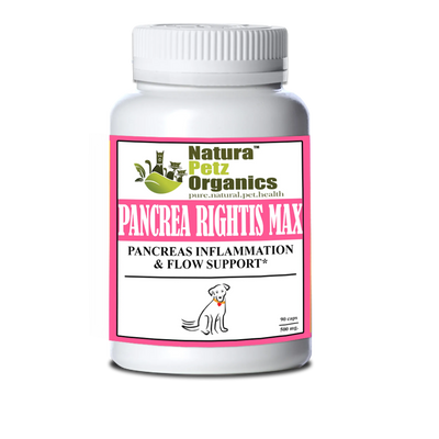 Pancrea Rightis Max Support* Capsules Pancreas Inflammation & Flow Support Dogs Cats* - Your Pet Connection