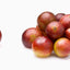 Camu Camu Extract Joint Teeth & Eye Support* The Petz Kitchen - Organic Human Grade Ingredients For Home Prepared Meals & Treats - Your Pet Connection