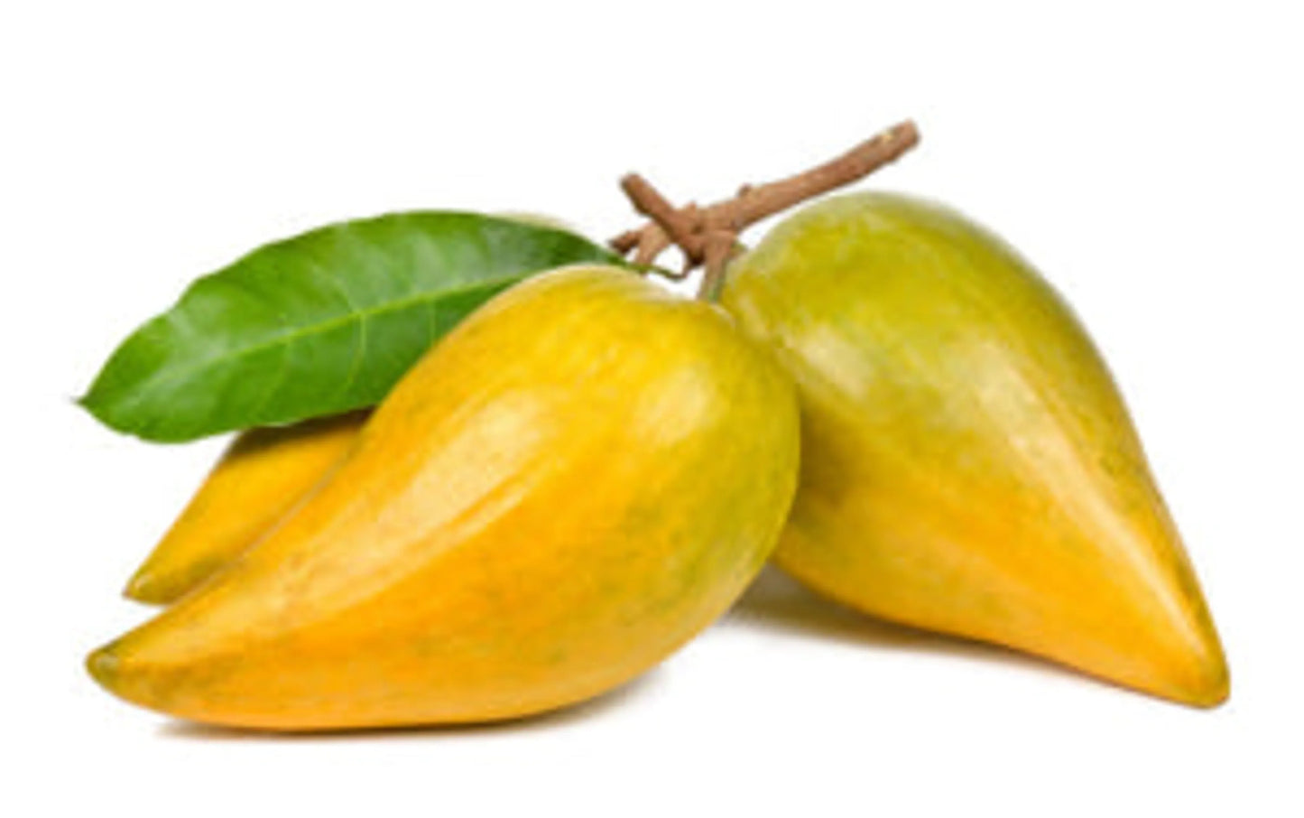 Lucuma Powder - Glycemic Glucose & Digestive Support*  Antioxidant Usda Organic Super Food & Fruit The Petz Kitchen - Your Pet Connection