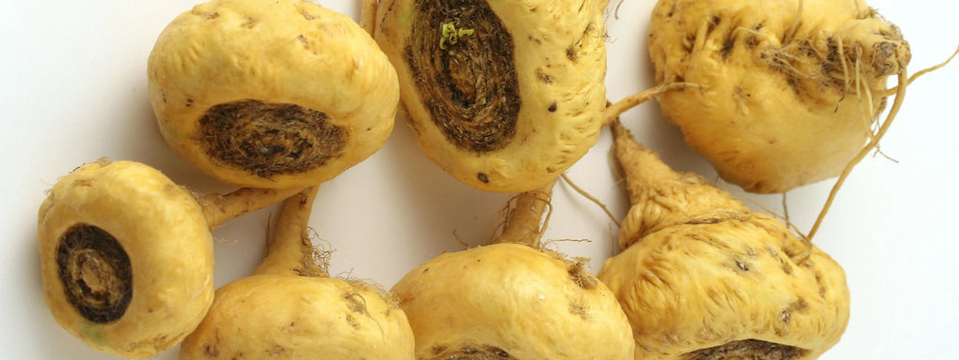 Yellow Maca* Complete Protein & Cognitive & Glandular Support* The Petz Kitchen Organic & Human Grade Ingredients For Home Prepared Meals & Treats* - Your Pet Connection