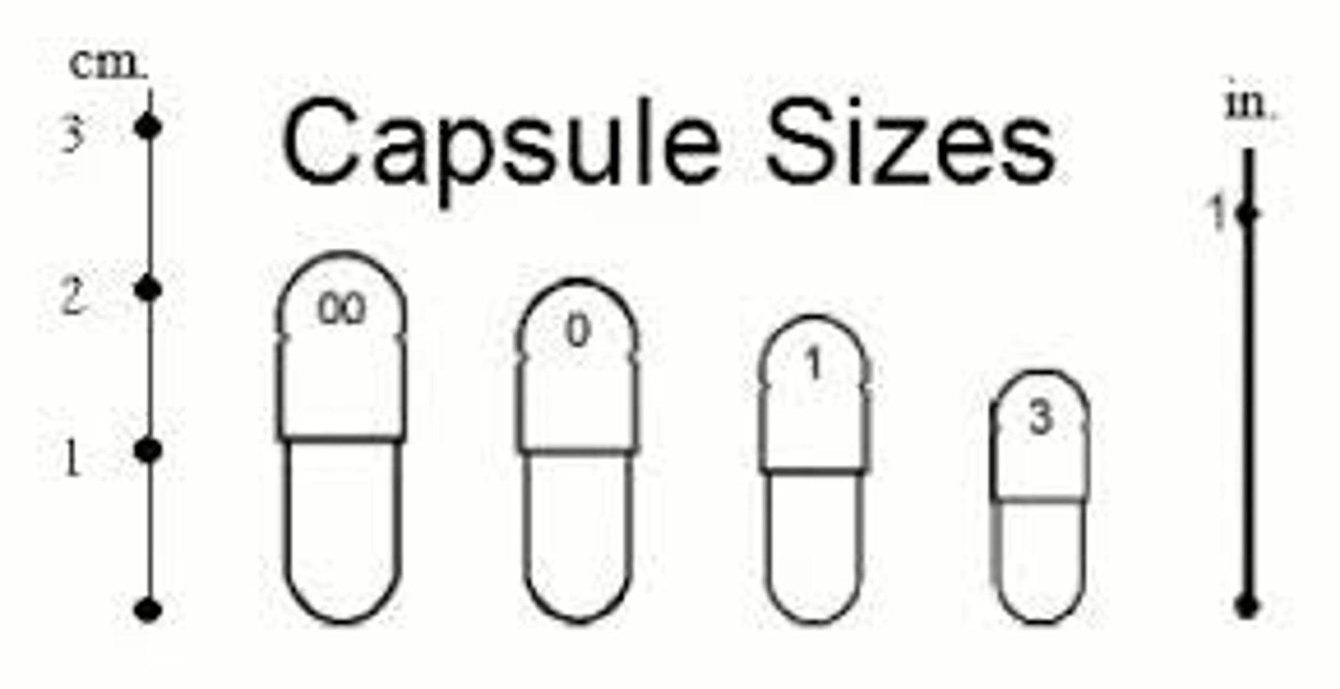 Seal Em & Heal Em Capsules Dog Cat & Small Animal*  Wound, Infection & Hot Spot Support* - Your Pet Connection